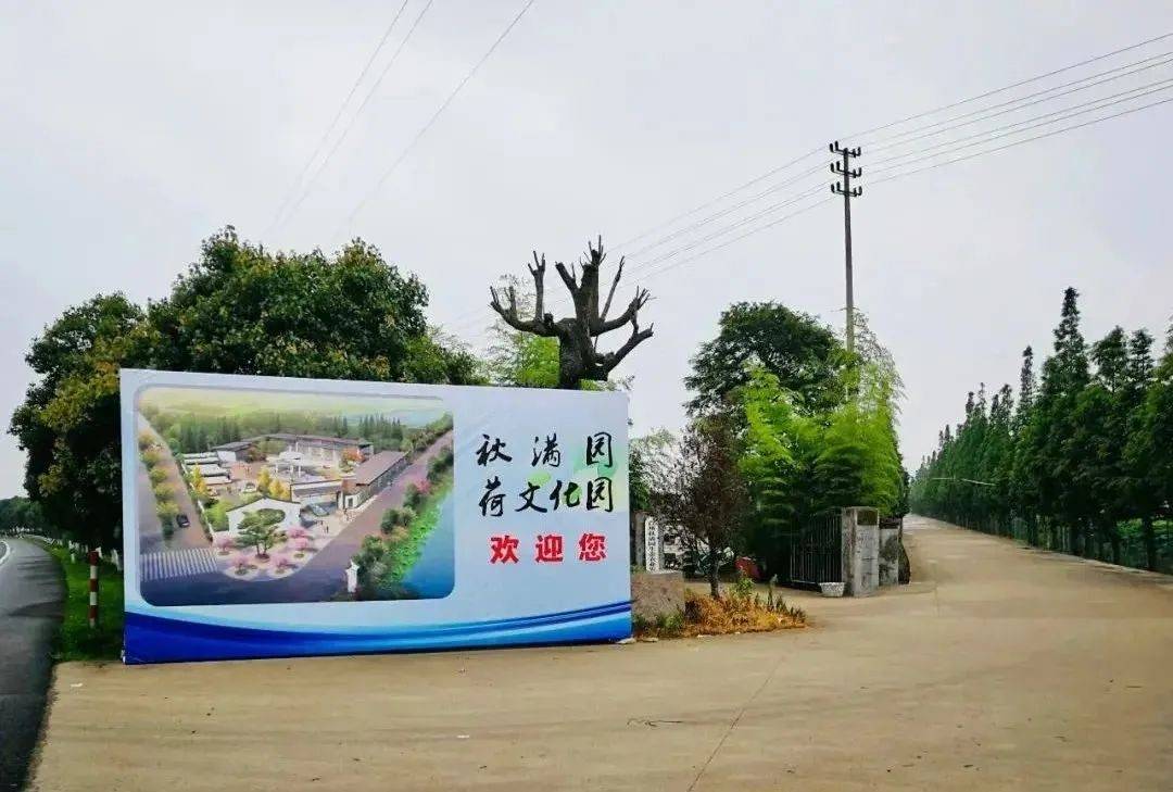 有生活 | 三门县秋满园青创农场在青春梦想中发扬_农业_健跳镇_农村