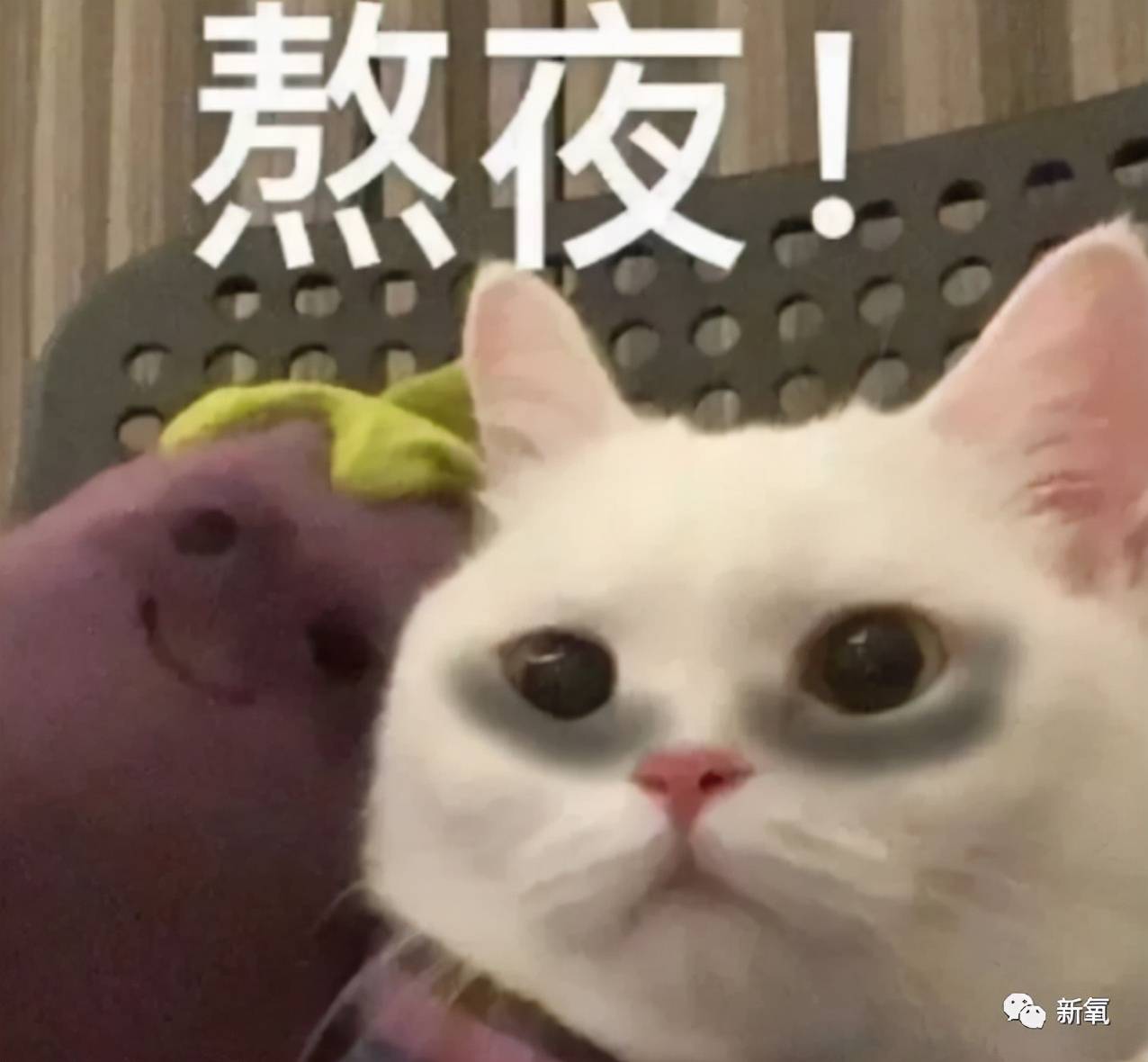 因为怎么看自己衰老到什么程度了?