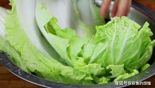 全家人|教你大白菜新吃法,轻松搞定全家人早餐,不炒不炖,特别好吃