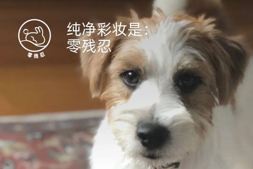 产品纯净彩妆究竟是...?| What is Clean Beauty?