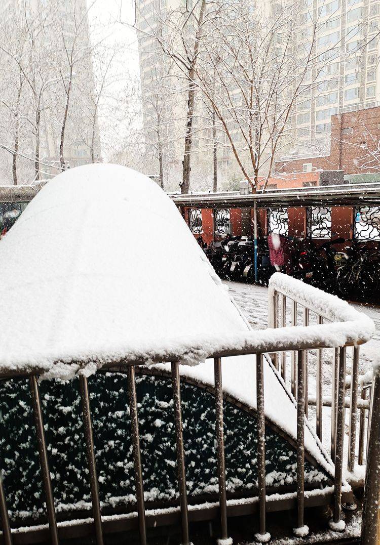 下集|一场雪，让这里的春天真美