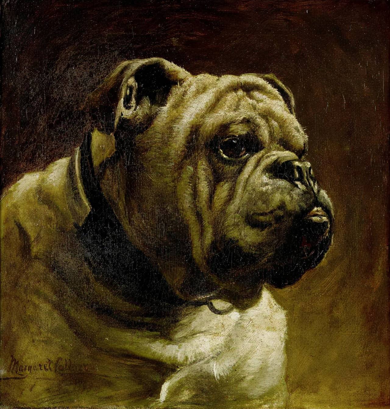 艺术家笔下的写实油画宠物狗100幅