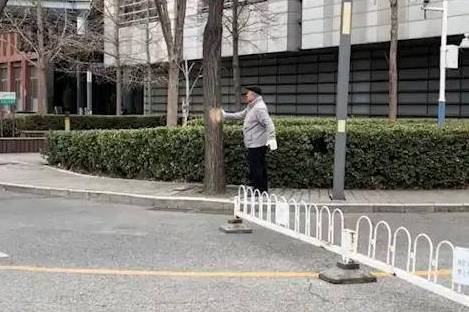 女子困惑路边绿化树秃皮,随后看到大爷一举动网友直呼头回见_树卡_都卡_练掌