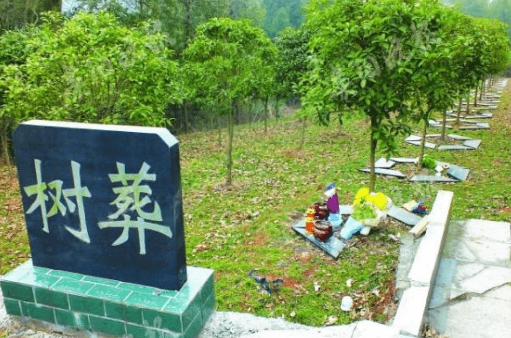 目前已经有一些人接受了科学树葬法,能在死后滋养一片绿色,做出最后的
