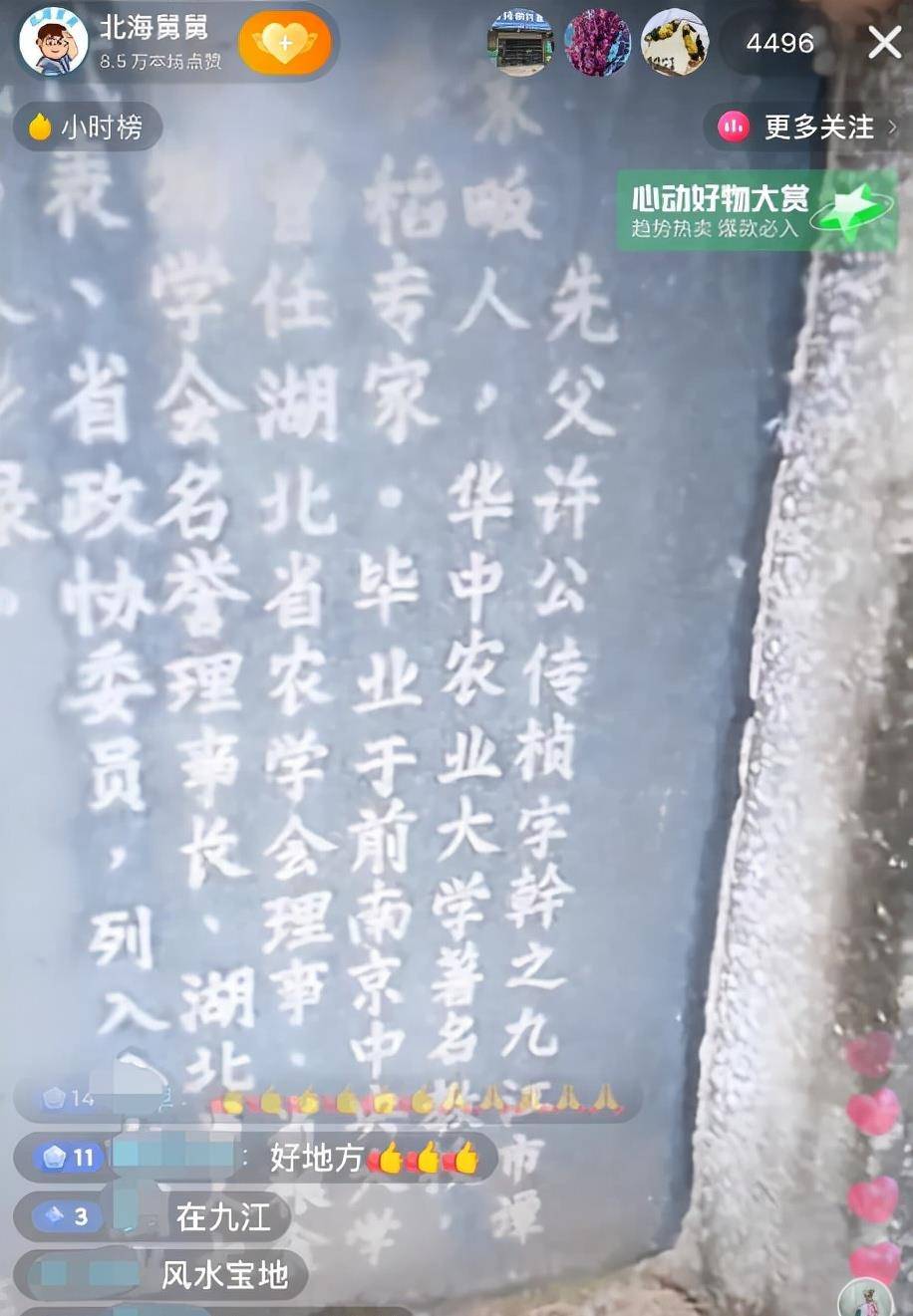 许敏再传喜讯姚家再添新丁北海舅舅到九江祭祖祈求真相大白