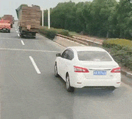 猫咪搞笑时刻：哈哈哈，二哈给猫咪夹住了。
