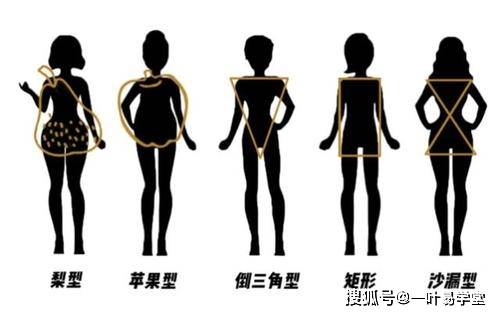 人的体型怎么在八字里看