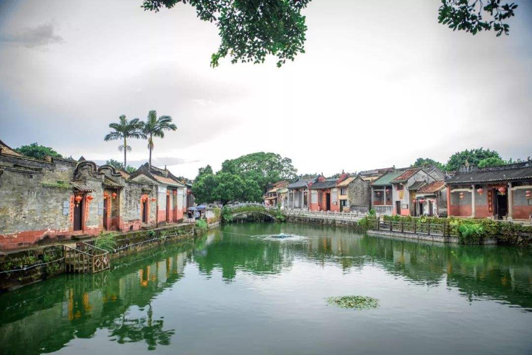 广东最美丽的古村,这里池塘连片,古巷生烟,满满的岭南田园美景