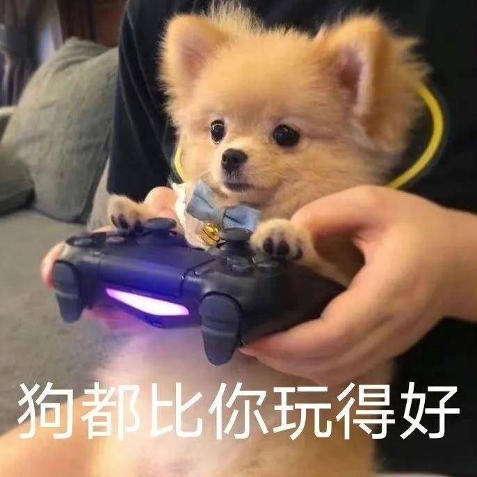 斗图必备搞笑表情包_必备_表情