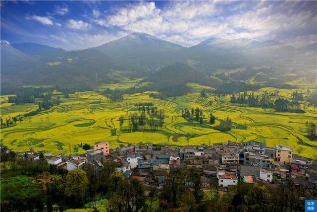 门票|罗平油菜花堪称东方大花园：满目金黄香百里，一方春色醉千山