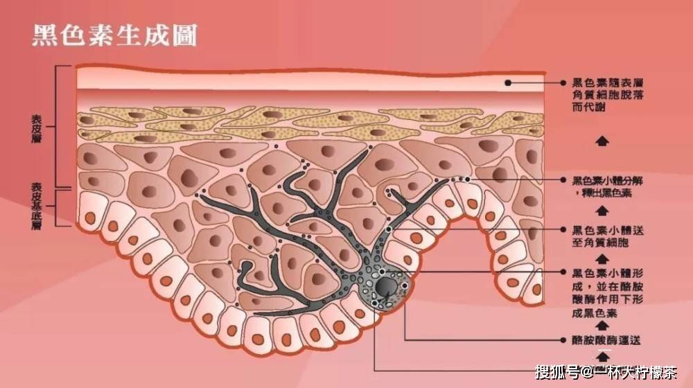 柠檬为什么皮肤这么容易黑，你有试过这几个小技巧吗？谷胱甘肽能由内构筑美白基础