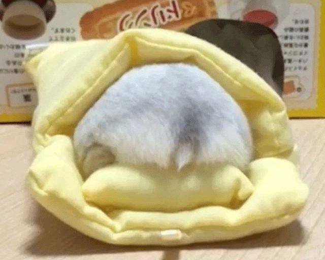 大象老虎屁屁摸不得，但ta的可以，不过不能贪摸哦！