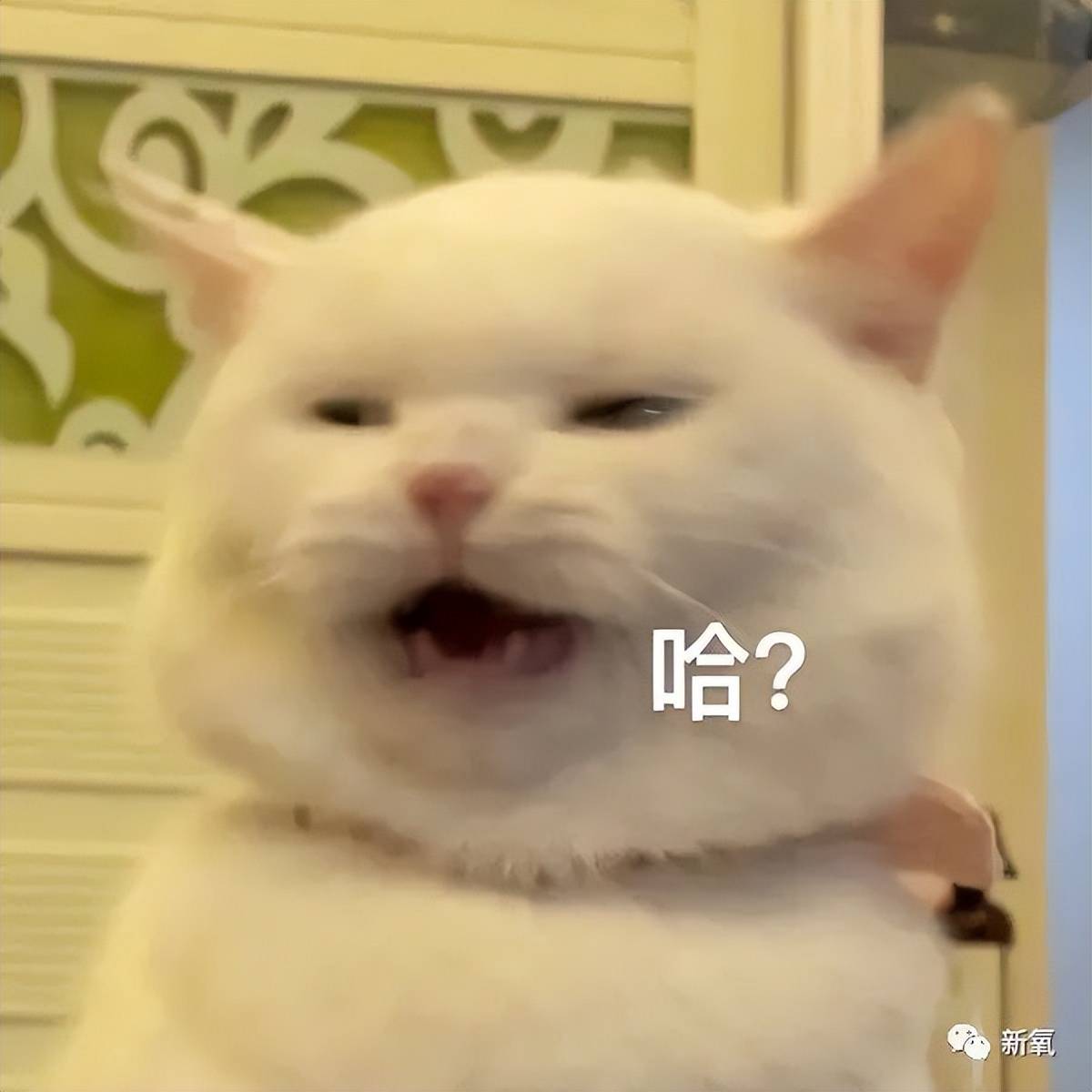 因为安妮海瑟薇是怎么回春的？