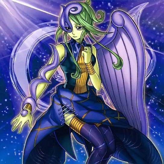 盘点游戏王卡片中的14只妖精哪只妖精最可爱