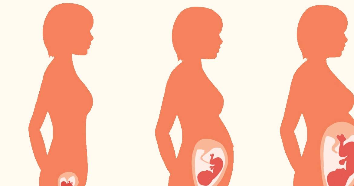 子宫|孕晚期出现这个状况的孕妈，只能选择剖腹产！
