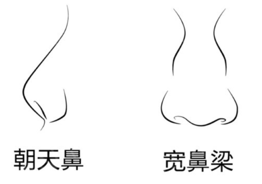 鼻梁梨形鼻却依然好看的女明星：邱天有清冷感，任敏被称作电影脸！！