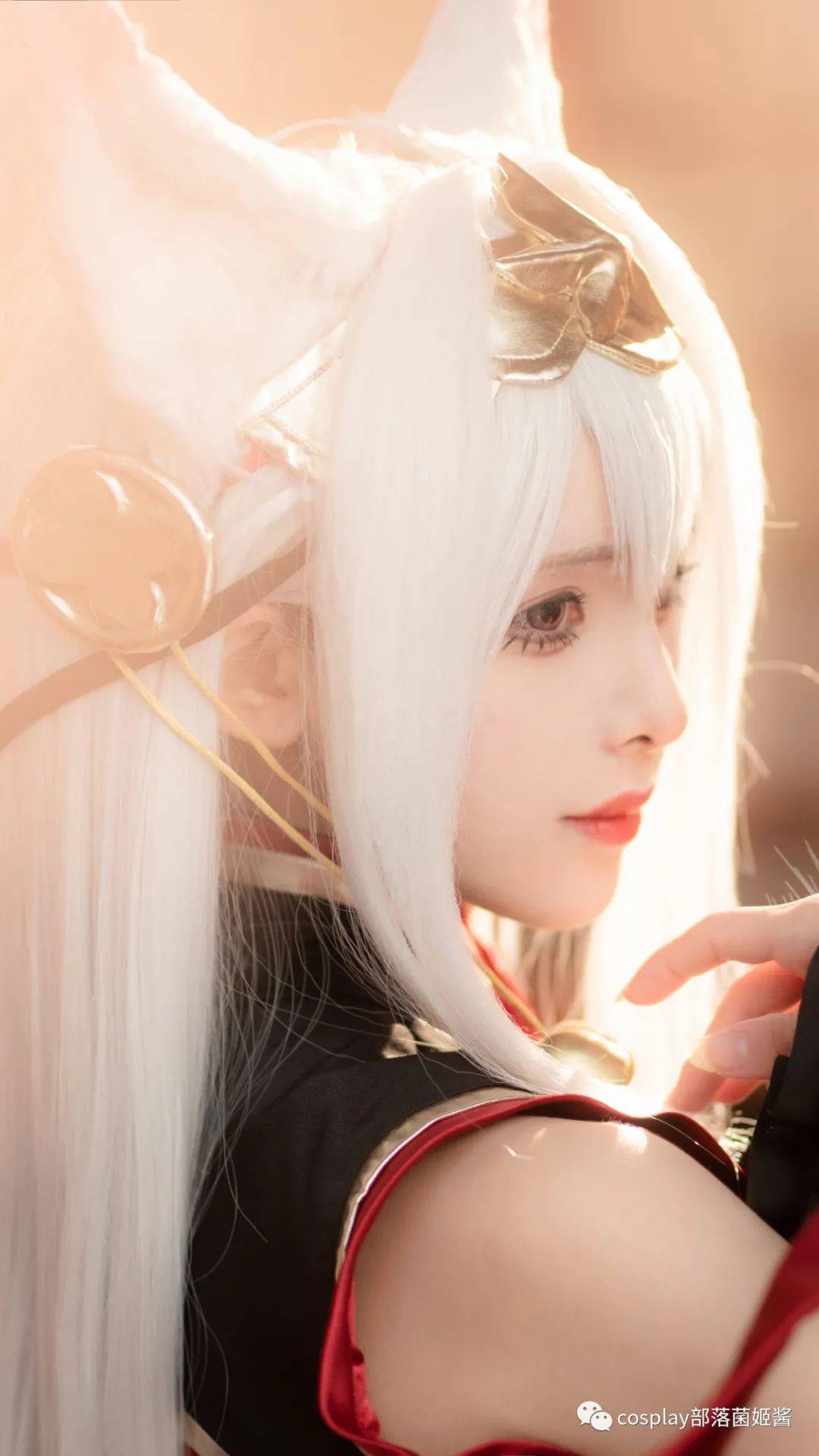 cos终焉誓约稻荷葛叶cos正片腥味猫罐