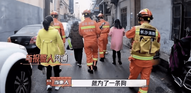 因为|没了《快本》湖南台也能翻盘，无明星阵容成综艺王炸，真实感赢了