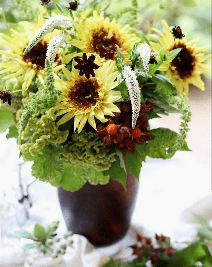 乌克兰国花——向日葵,你不知道的另一面