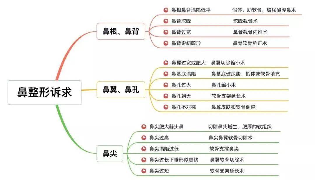 博尔颜值丨三分天注定，七分靠鼻子！