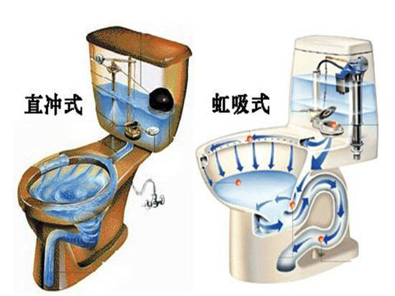 马桶内部结构图 排水图片