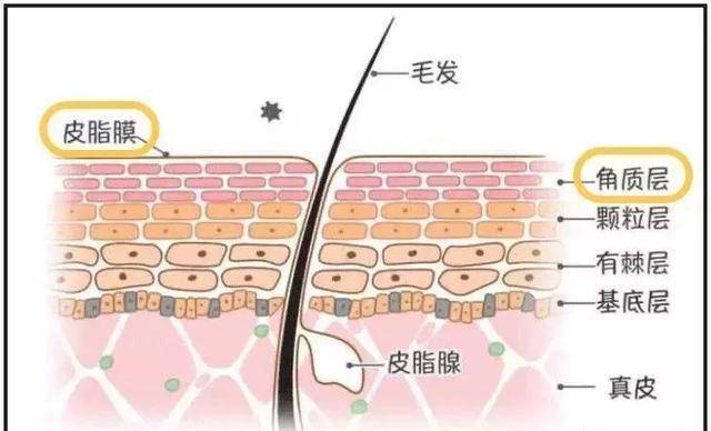 生活生活就该有“膜”有样