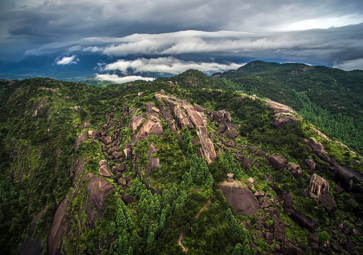 赏美景吃美食一起来感受春天在苍南大地的热烈回响