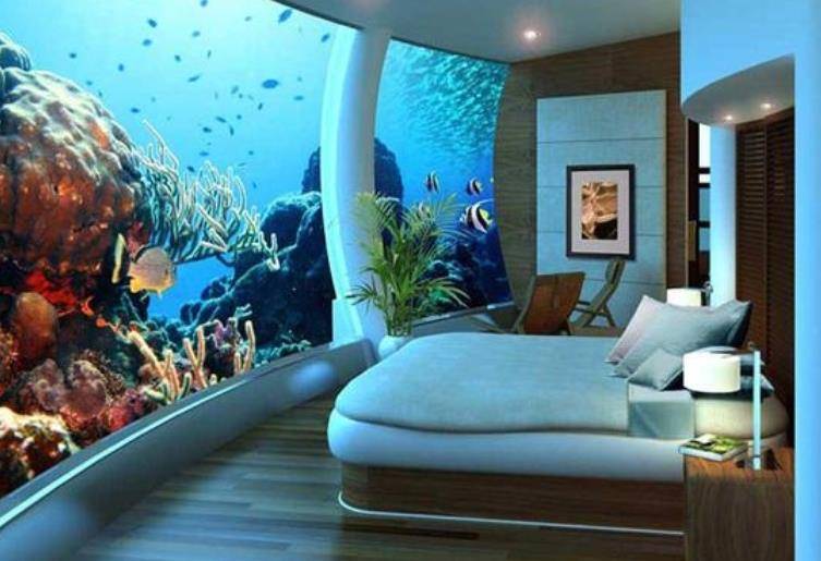世界上唯一藏在海下的酒店，顾客能与鱼群共眠，网友：鲨鱼咋办？