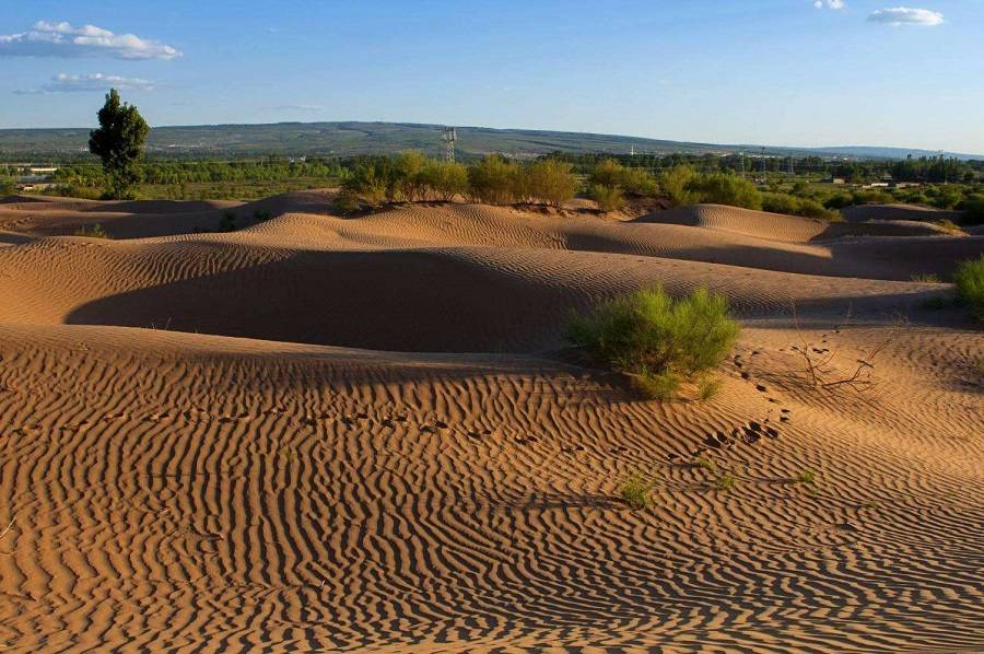 中国首个即将消失的沙漠现在竟已变成一片绿洲？
