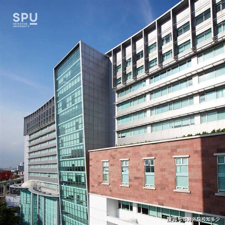 巴顿_本科_大学