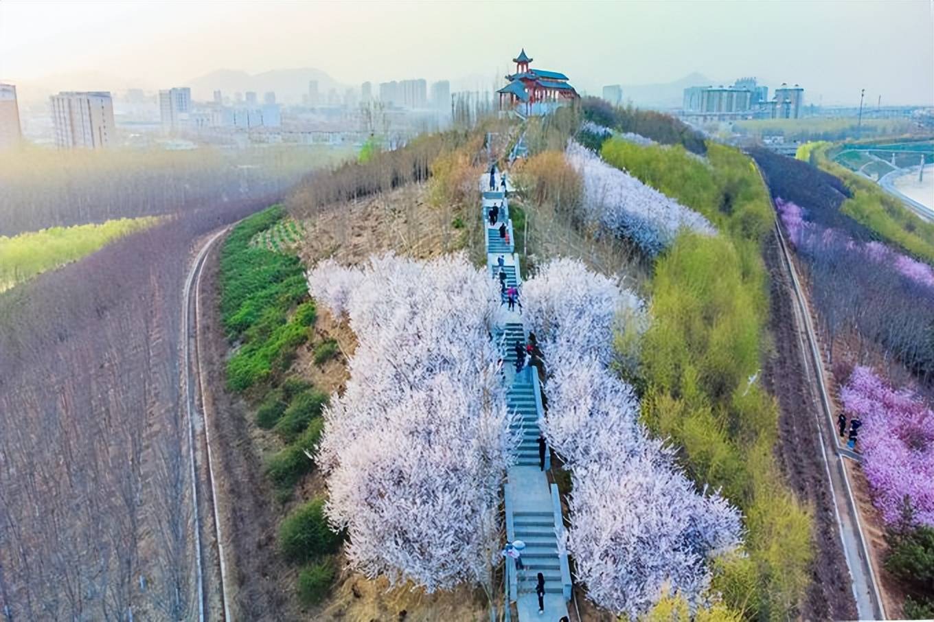 万木争|石家庄有一座翠屏湿地公园，风景秀丽免门票，是踏青赏花的好去处