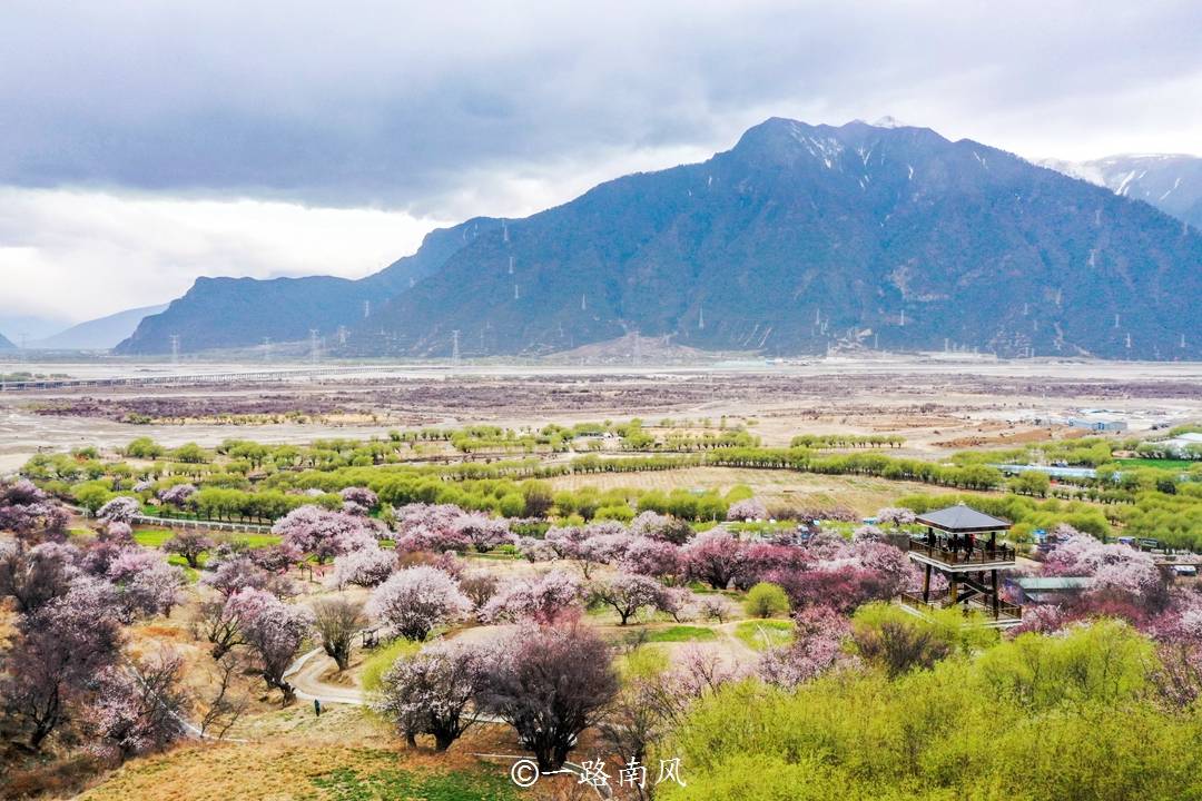 尼洋|春天到了，林芝桃花村又美成“天堂”，随手一拍都很好看