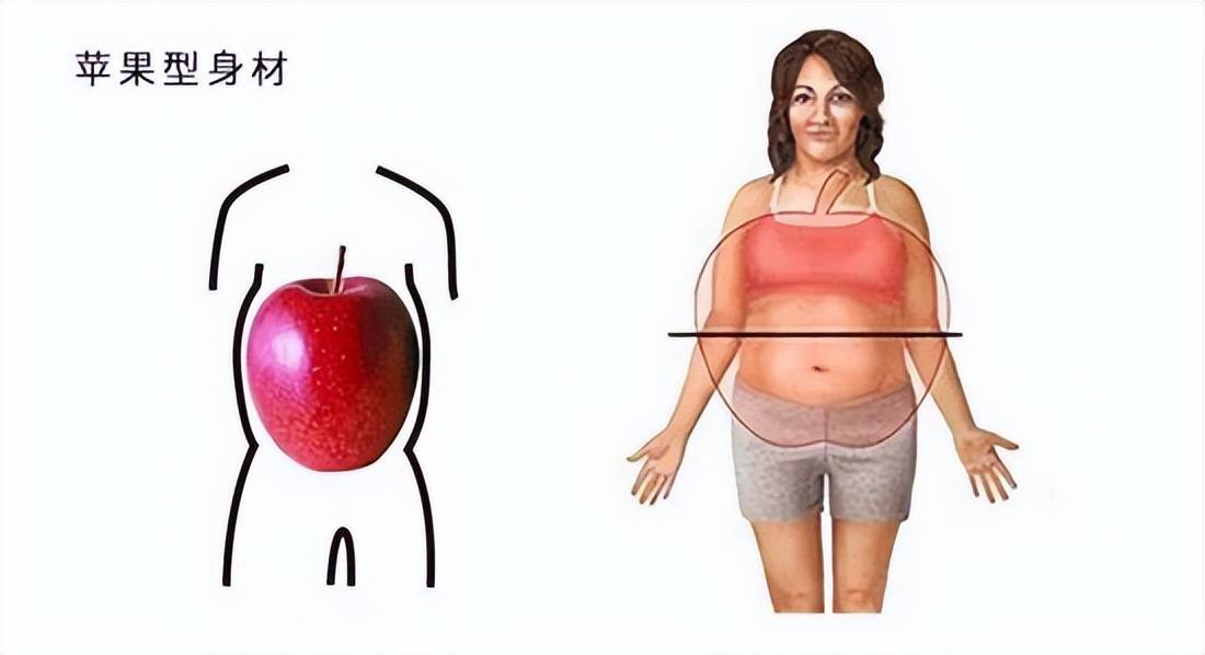 苹果型身材的人注意了不控制这些指标你的健康风险将高于常人