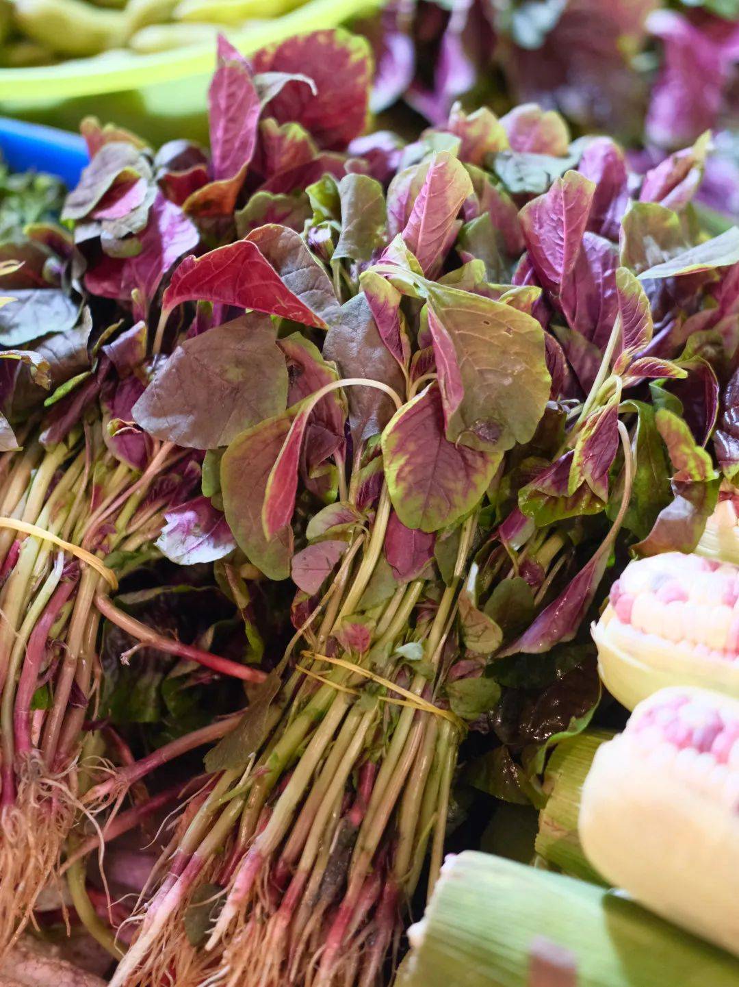 那些菜市场娘娘教给我的事_玉林_香菇_成都