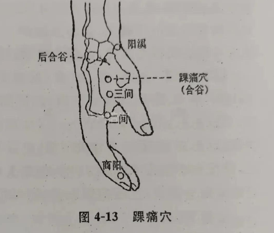 注释  踝关节疼痛是由于踝关节扭伤