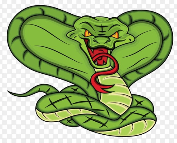 眼镜王蛇是当之无愧的亚洲蛇王,因为它的确克制所有毒蛇,甚至有能杀死