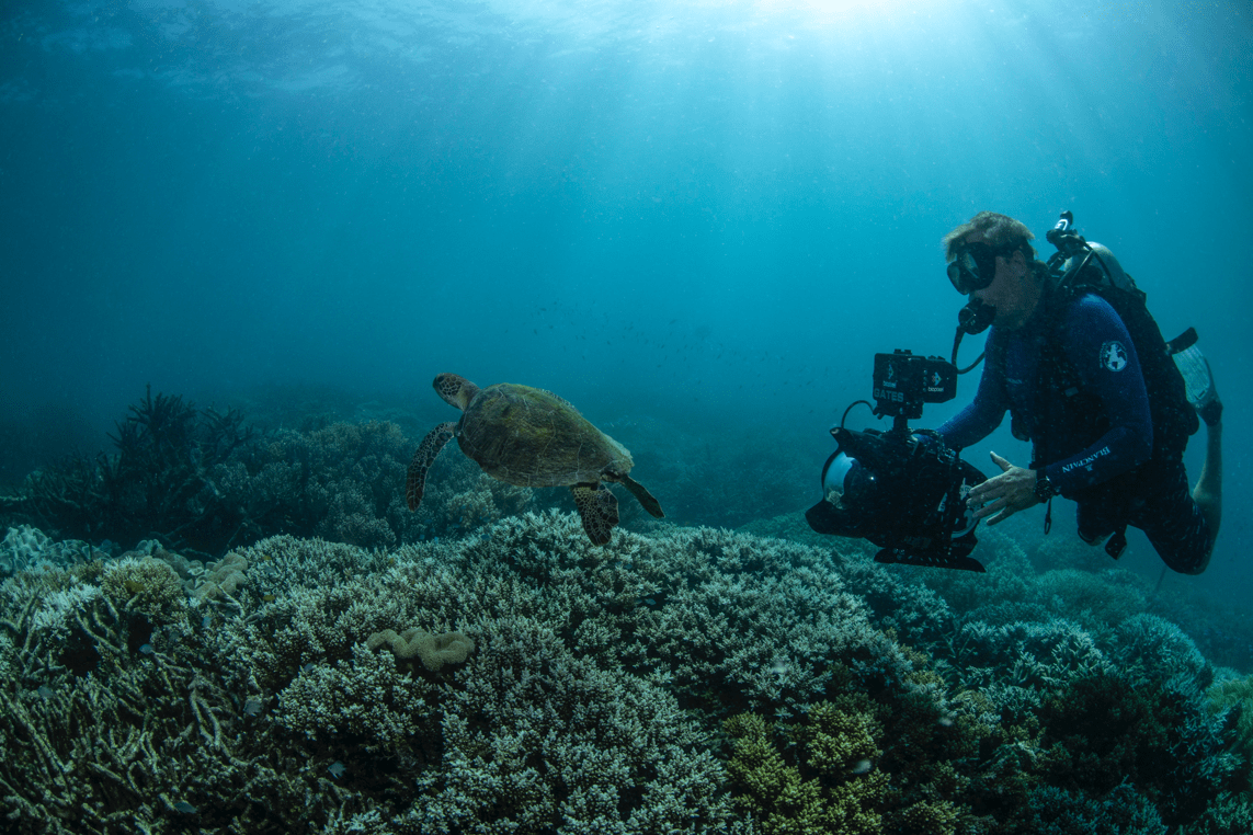 �������ȫ�º������Biopixel,Я���ػ��Ĵ����Ǵ󱤽�