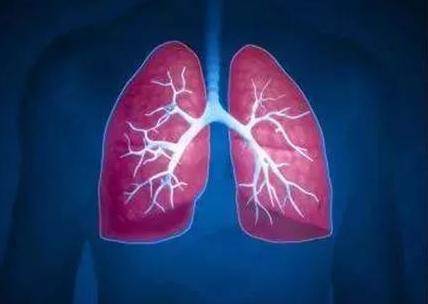 肺不好的人群，要多吃2种蔬菜2类水果，或可有助保养肺部