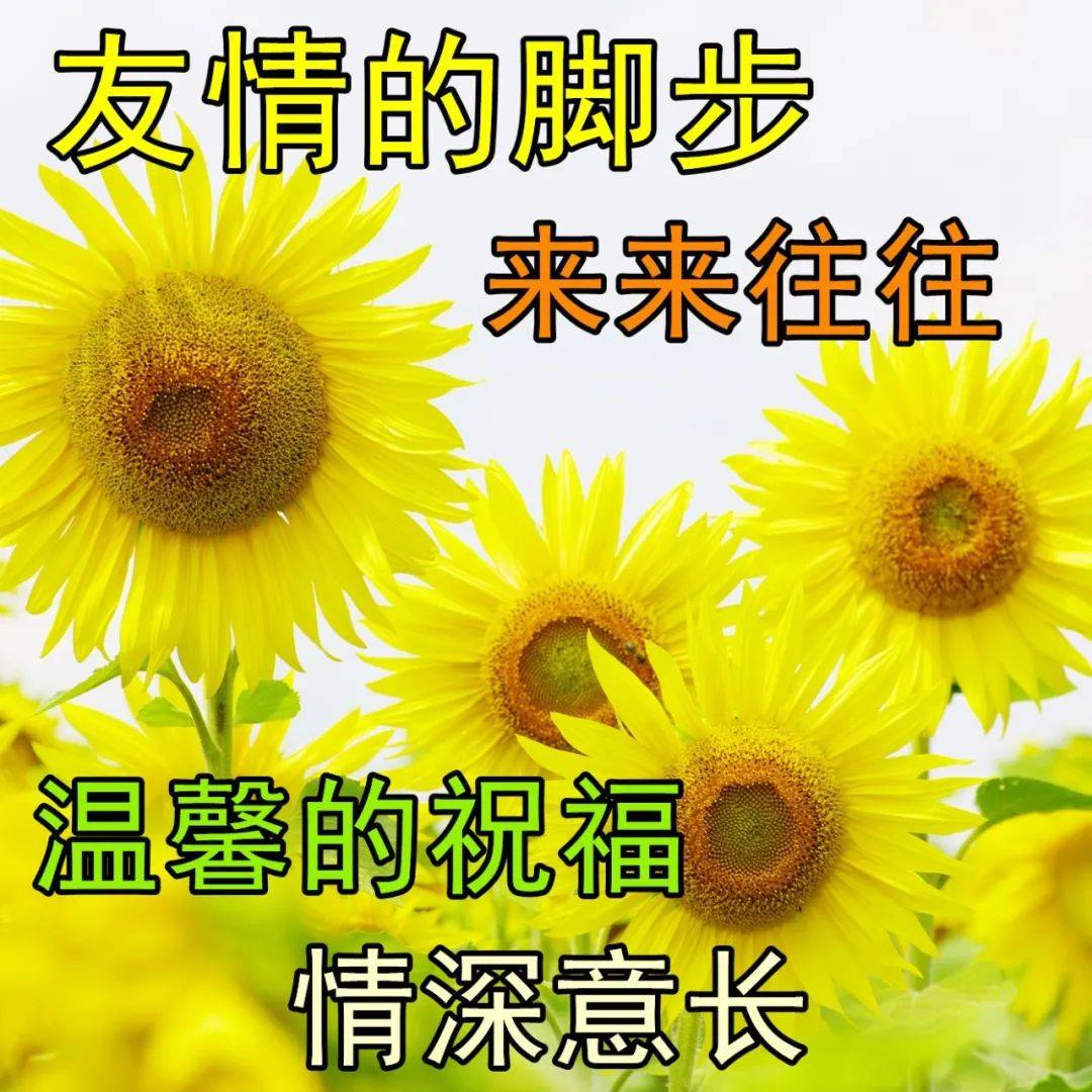 原創問候早上好圖片真心祝福真摯問候早安祝福