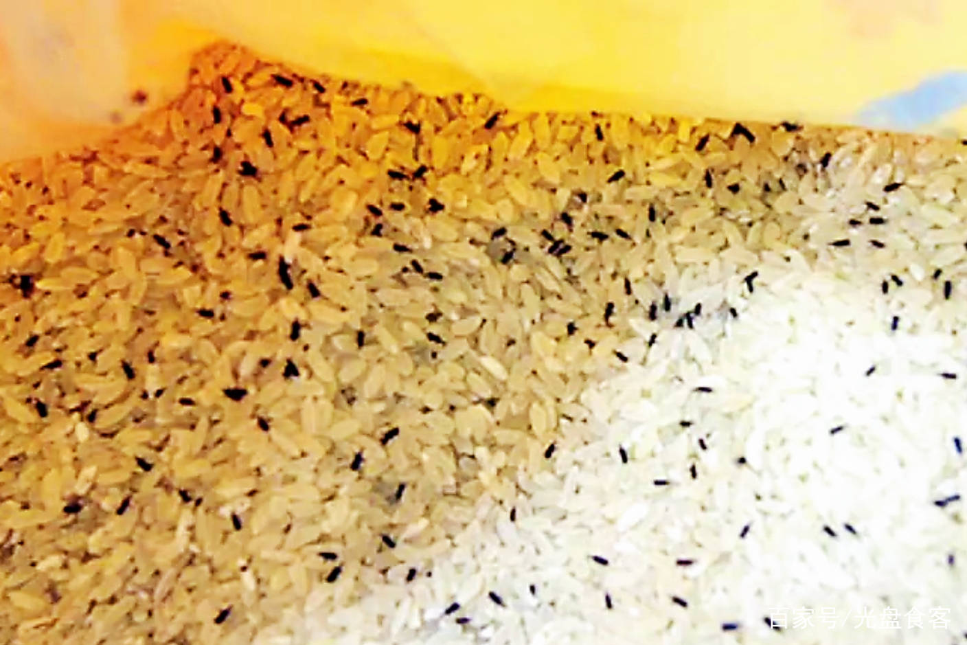 生虫的大米,有4种方法驱虫,花椒和大蒜,最后一种你绝对想不到_虫子_熏