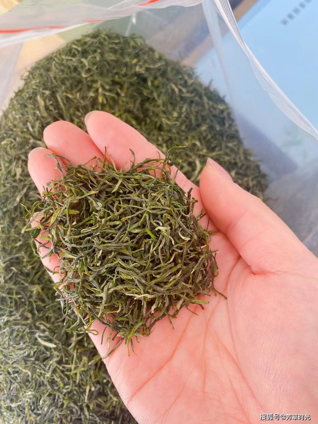 红安好茶眉茶茗茶 芳草时光天台山生态茶叶