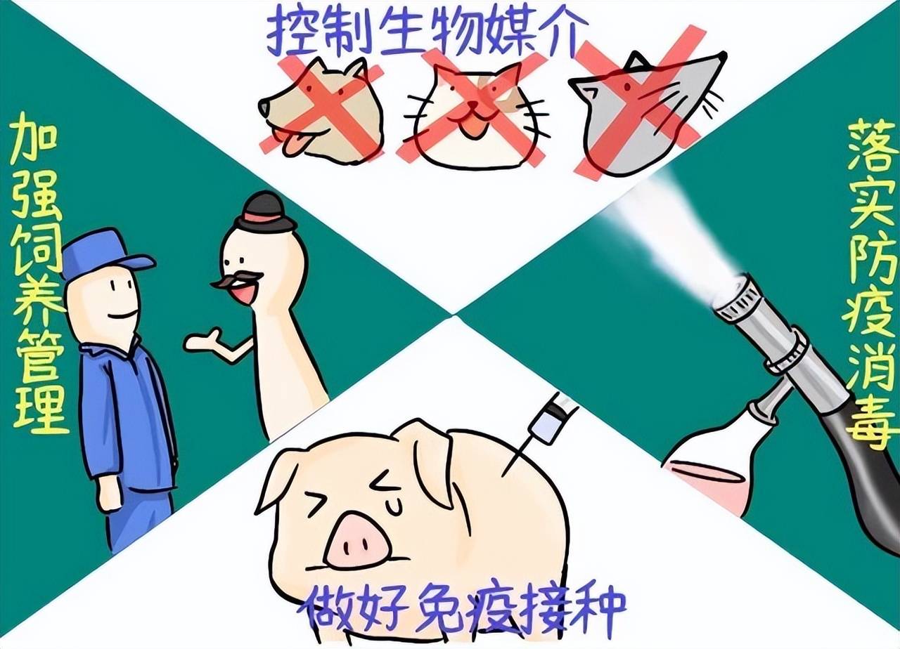 生物安全在很多养鸡场形同虚设!这是为什么?_消毒_养殖_设备