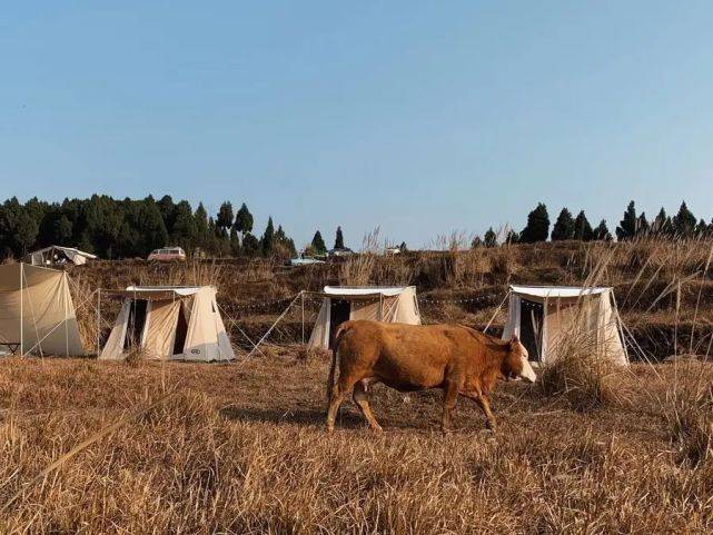 釣魚,踩水,拍照,燒烤地址:成都金堂柏林小鎮旅拍基地04金堂撲田農場