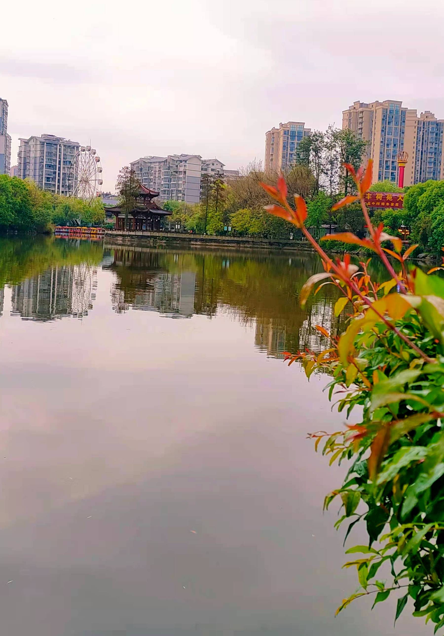 原创清明假期踏青好时节游宜宾翠屏山公园美翻了