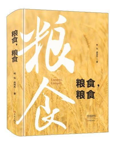 张延文:粮食的故事,时代的命题|中原作家