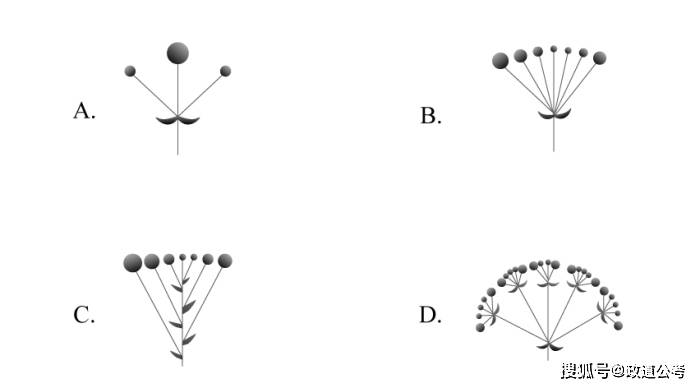 2)_作品_工作_花序