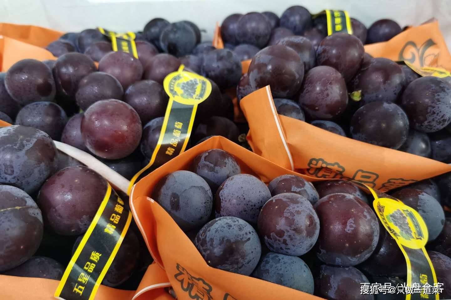 进入夏季葡萄大量上市,在这炎热的夏天吃上一口冷藏的葡萄,那也是别有