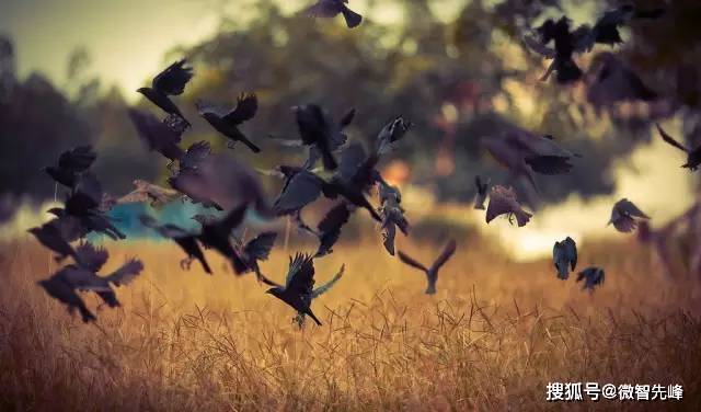 中国12个最邪门恐怖的地方（附上具体地址），千万别去看！