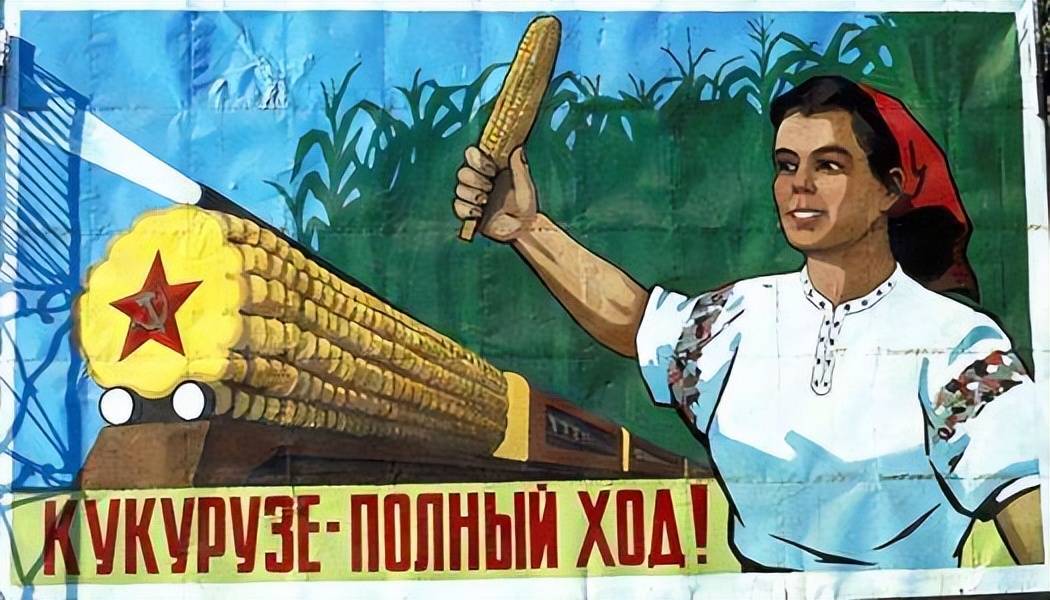 赫鲁晓夫没彻底白忙玉米并未被废弃如今俄罗斯仍在大量出口
