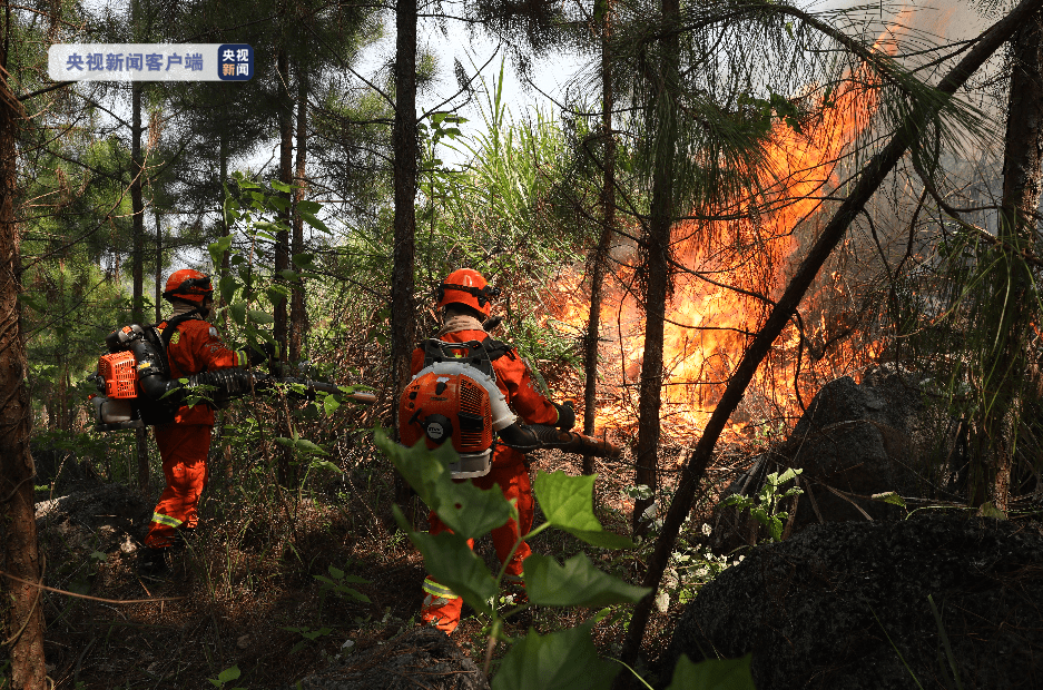 广东清远连南397县道旁山火已基本扑灭